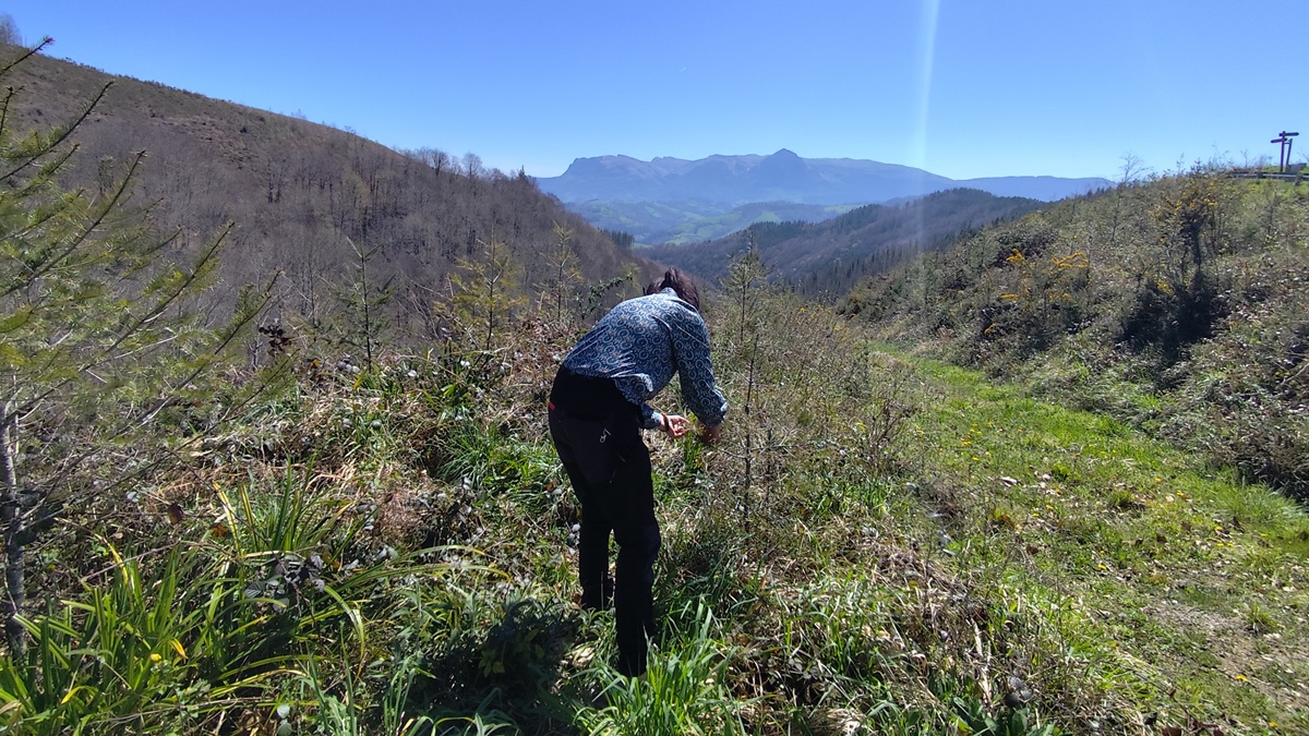 IMG_20250401_134521|IMG_20250401_134739